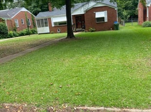 Bettye M.'s Lawn Service service result