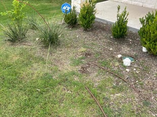 Weeding by Df Ford for John P. in Fort Worth, TX