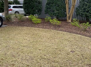 Leaf Removal by William Sellers for Lori P. in Mount Pleasant, SC