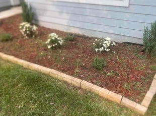 Weeding by Jovan Tribune for Christopher N. in Jacksonville, FL