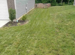 Melissa F.'s Lawn Care service result