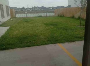 Larry M.'s Yard Cutting service result