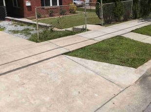 Stephen S.'s Lawn Service service result