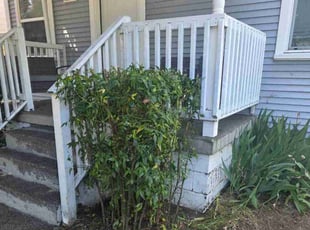 Bush Trimming by Juan Manuel Silva correa for Tara A. in Vancouver, WA