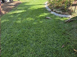 Mary M.'s Lawn Service service result