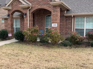 Bush Trimming by Pablo Miramontes for Amber P. in Rockwall, TX