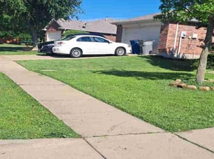 Gladys R.'s Lawn Mowing service result