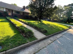 Linda P.'s Lawn Mowing Service service result