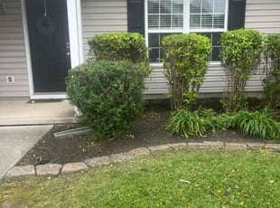 Bush Trimming by Tywuan Williams for Kristy N. in Fishers, IN