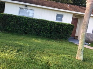 Bush Trimming by Genet Rena for Cynthia D. in Orlando, FL