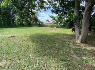 Leaf Removal by Barlington Blye for Sasha H. in West Palm Beach, FL