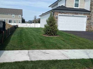 Damon A.'s Lawn Service service result