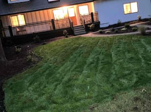 Angela C.'s Grass Cutting service result