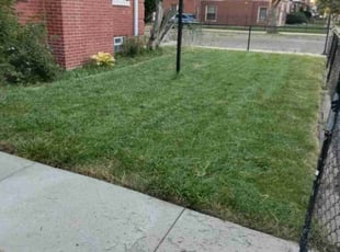 Kristy C.'s Lawn Maintenance service result