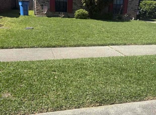 Christi K.'s Lawn Care service result