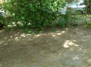 Leaf Removal by Arthur Haskins for Yvette P. in Richmond, VA