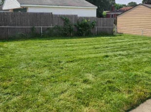 Anna S.'s Grass Cutting service result