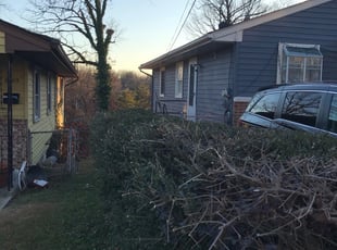 Bush Trimming by Kamonta Hackey for Sharone M. in Greater Landover, MD