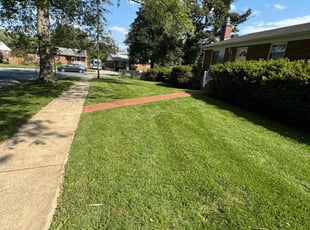 Mfundo K.'s Lawn Service service result