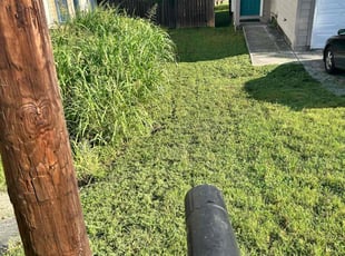 Cleanups by Martin Van den Boogerd for Kfir G. in San Marcos, TX