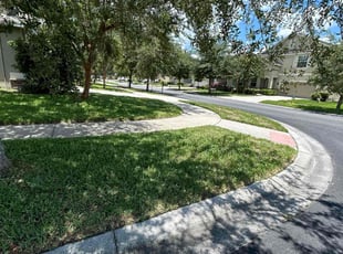 Alex G.'s Lawn Care service result