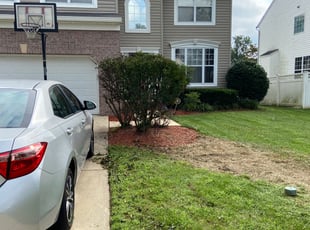 Bush Trimming by Melford Franklin for Ursula C. in Glen Burnie, MD
