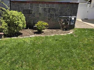 Weeding by Frank Gallo for Denice C. in Uniondale, NY