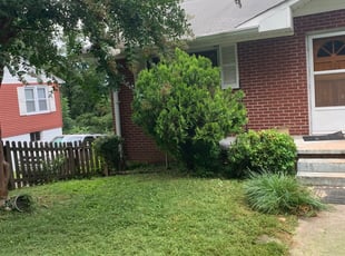 Bush Trimming by Dustin Pulliam for Steven A. in Asheville, NC