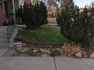 Cleanups by Gregory Lillibridge for Cheryle . in Lakewood, CO