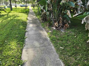 Bush Trimming by Terry Welch for Angelina O. in Jacksonville Beach, FL