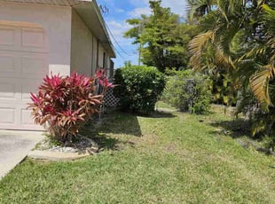 Bush Trimming by Ryan Trapp for Gary S. in Cape Coral, FL