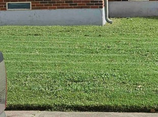 Pamela B.'s Lawn Mowing service result