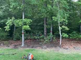Weeding by Jacob Ferguson for Kendra S. in Glen Allen, VA