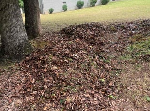 Weeding by Cory Hyacinthe for Robb H. in Raleigh, NC