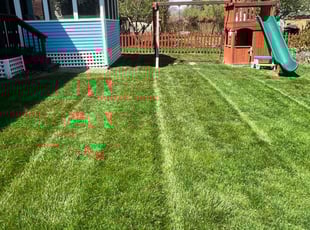 Philip M.'s Lawn Mowing service result