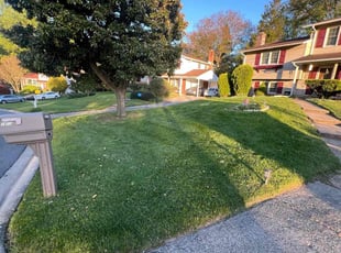 Frances (Deaf) B.'s Lawn Care service result