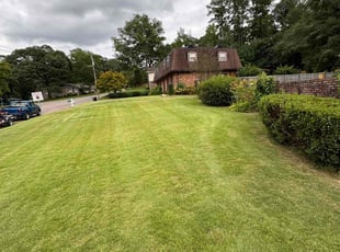 Carmen S.'s Lawn Service service result