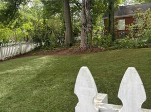Leaf Removal by Yaneth Figueroa for Danielle M. in Atlanta, GA