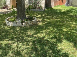 Lorraine G.'s Lawn Care service result