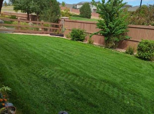 Joe D.'s Lawn Service service result
