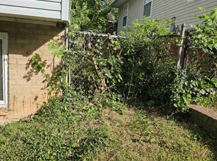 Bush Trimming by Artavius Clark for Brayford H. in Capitol Heights, MD