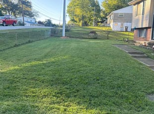 Ben C.'s Lawn Care service result