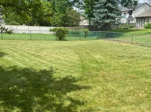 Alexis P.'s Lawn Service service result