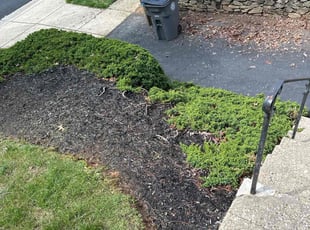 Weeding by Luiz Gosling De Oliveira for Raymond H. in Rockville, MD