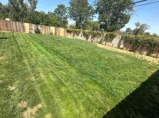 Crystal T.'s Lawn Service service result