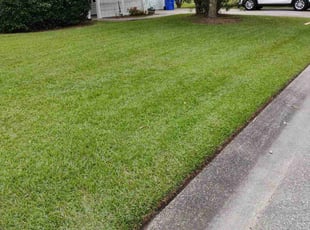 Brian S.'s Yard Cutting service result