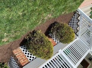 Weeding by Matthew Rutledge for Timothy L. in Glen Allen, VA