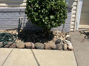 Bush Trimming by Gabriel Aldrete for Rose G. in Roseville, CA