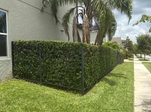Bush Trimming by Christopher Oropeza for Creator H. in Winter Garden, FL