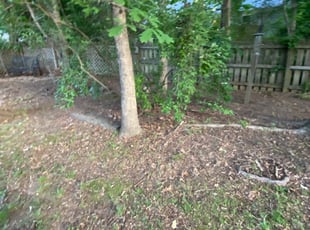 Cleanups by Nick Halferty for Bruce L. in Raleigh, NC